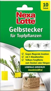 Nexa Lotte Gelbtafeln 10 St&uuml;ck