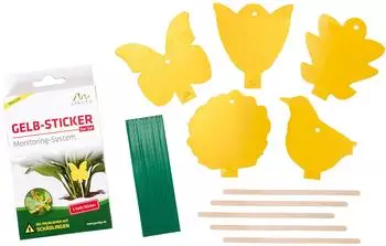 Gardigo Gelbtafeln mit Stiel 5x Insekten Fliegenfalle Fruchtfliegenfalle