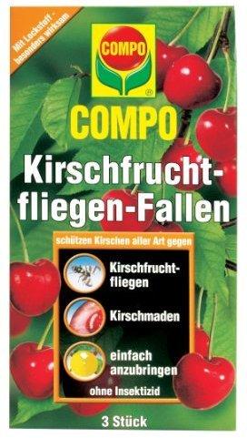 COMPO Kirschfruchtfliegen- Fallen (3er Pack)