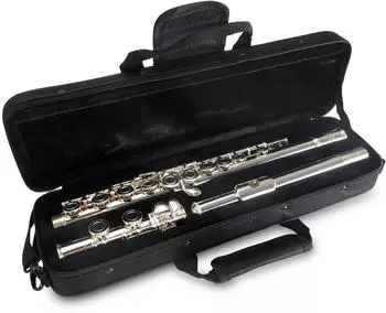 Classic Cantabile FL-200