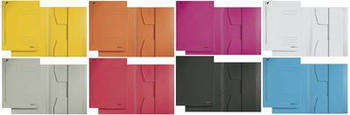 Leitz Jurismappe A4, sortiert (39240099)