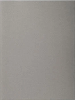 Exacompta 100er Pack Aktendeckeln Forever, aus Recyclingkarton 220 g, DIN A4, 24x32cm grau (410009E)