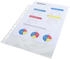 Exacompta 100er Pack Prospekthüllen, PP, DIN A4 kristall (5200E)