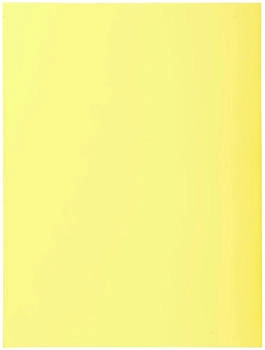 Exacompta 5x 100er Aktendeckel SUPER 160 24x32cm - Kanariengelb - (340005E)