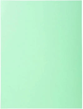 Exacompta 5x 100er Aktendeckel SUPER 160 24x32cm - Hellgr&uuml;n - (340004E)