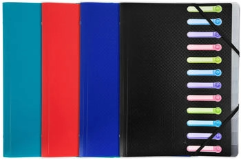 Exacompta 10x Ordnungsmappe OPAK PP + 3 Klappen, 12 Fächern, sortiert, (55180E)