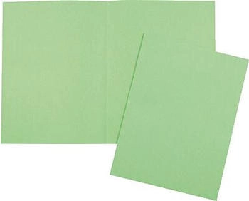 Exacompta 100er Pack Aktendeckeln Forever, aus Recyclingkarton 220 g, DIN A4, 24x32cm intensivgrün (410013E)