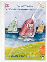 Exacompta 5310E 10x Packung mit 10 Prospekth&uuml;llen gelocht aus glattem PP 60&mu;,...