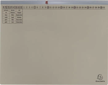 Exacompta 25x Exaflex, Kanzlei H&auml;ngehefter, 1x Abheft, Rechts, Grau, (370210B)