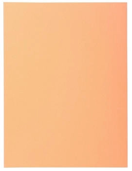 Exacompta 5x 100er Aktendeckel SUPER 160 24x32cm - Sand - (340002E)