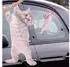 ThumbsUp Ride with Hanging Cat 24x31cm (1002228)