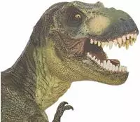 ThumbsUp! Fenstersticker "T-Rex"