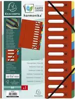 Exacompta 55125E, EXACOMPTA Ordnungsmappe 55125E