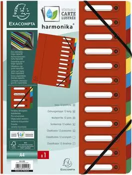 Exacompta Ordnungsmappe Harmonika A4, ausgestanzte Fenster