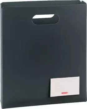 Brunnen Heftbox FACT!pp A4