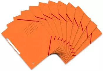 Oxford TOP FILE+ A4 (40011)