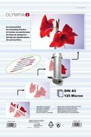 - laminated tape - 25 pcs. - A3