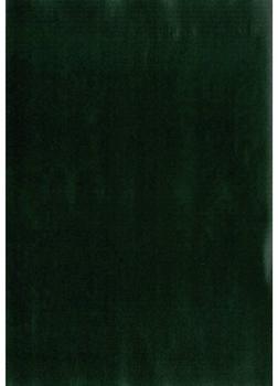 d-c-fix d-c-fix® Tafelfolie grün 45x200 cm, Selbstklebend)