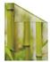 LICHTBLICK Fensterfolie 100 x 180 cm mit Motiv Bambus - Grün, Selbstklebender Sichtschutz ohne Bohren, blickdichtes Fensterdekor, für alle Glasflächen