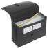 schwarz (70006-30): FolderSys 12er Akkordeon-Tasche A4 (70006)
