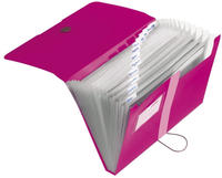 Herlitz 11217114, Herlitz F&auml;chermappe easy orga to go 11217114, beere, A4, 12