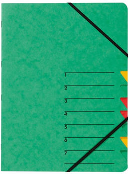 PAGNA Ordnungsmappe Easy A4 7Fächer (24061-03) grün
