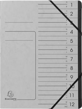 Exacompta Ordnungsmappen 12 Fächer grau (541211E)