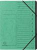 Exacompta Ordnungsmappe 541203E, A4, aus Karton, grün, 12 Fächer