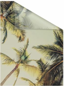 LICHTBLICK Fensterfolie Palmen grün B/l: Ca. 50x50 cm