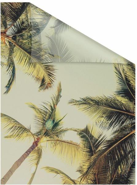LICHTBLICK Fensterfolie Palmen grün B/l: Ca. 50x50 cm