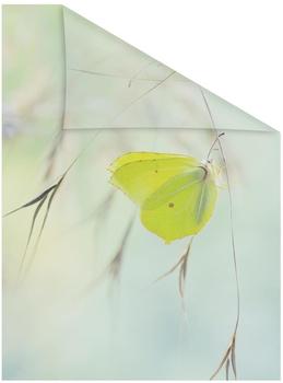 LICHTBLICK Fensterfolie Schmetterling Grün, LICHTBLICK, blickdicht, strukturiert, selbstklebend, Sichtschutz 100 cm x 180 cm