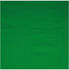 Walimex Stoffhintergrund 2,85x6m chroma key grün