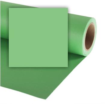 Walimex Colorama Hintergrundkarton 2,72 x 11m - Summergreen