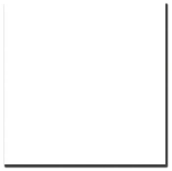 Colorama Colorgloss-Hintergrund Super White Gloss (1 x 1,3 m)