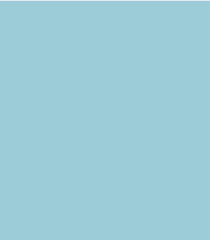 Savage (Tetenal) Hintergrundkarton 1,35x11m sky blue