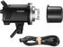 Godox Studio Flash Kit MS300V-D