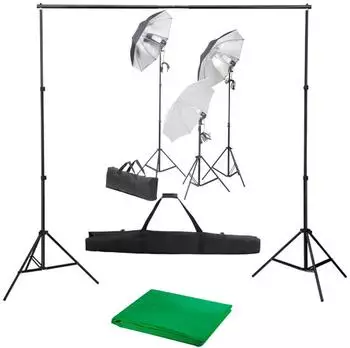 vidaXL Fotostudio-Set mit Lampen und Hintergrundsystem, schwarz (3055120)