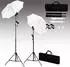 vidaXL Fotostudio-Set mit Hintergrund, Leuchten und Schirmen (3055084)