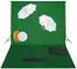 vidaXL Fotostudio-Set mit Lampen, Schirmen, Hintergrund & Reflektor (3067073)