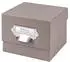 Rössler Papier SOHO Foto Aufbewahrungsbox 17x15x13 Taupe
