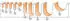 CMT Orange Tools Hohlkehlfräser HM S=8 D=16 R=8 (914.160.11)