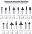 LuxusKollektion Fräser-Set 15-tlg. 8mm Schaft (W002066A)