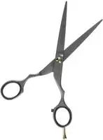 Jaguar 82260, Jaguar PreStyle Haarschere PRE STYLE ergo 6"