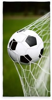 Herding Young Collection Fußball Velourstuch (6159238516)