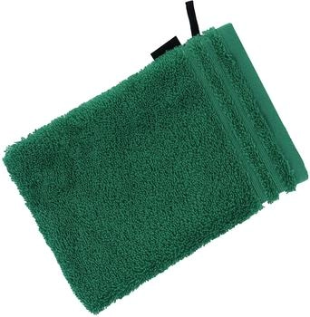 Vossen Calypso Feeling Waschhandschuh Oasis (11489405715)