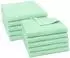ZOLLNER Handtuch 10er-Set, 100% Baumwolle, 50x100cm, mint (00000664-050100-368)