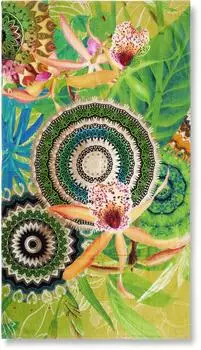 Muller Textiles Yissa Strandtuch 100x180cm, Frotteevelours, gr&uuml;n (30366-H)