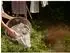 Zone Denmark Classic Badetuch 70x140cm, sand (35156)