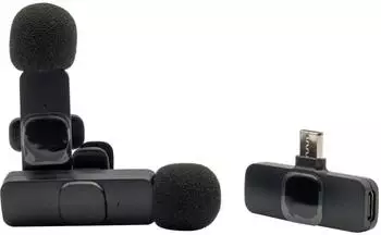 RealPower HS-1 Wireless Mikrofon, 2 Mikrofone, 1 Empfänger (495513)
