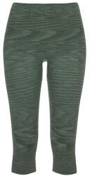 Ortovox 230 Competition Short Pants W green isar blend